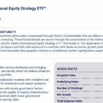 VIDI Q2 2025 factsheet